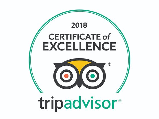 TripAdvisor Buys To Offset Google's SEO 